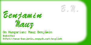 benjamin mauz business card